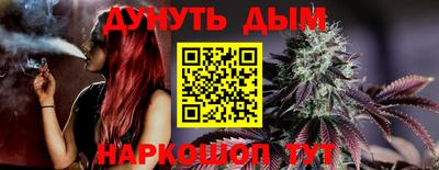 стаф Абакан
