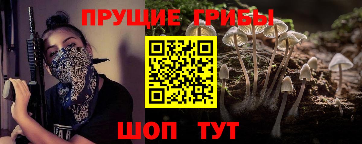 Псилоцибиновые грибы мухоморы  Галлюциногенные грибы Magic Shrooms  Вход с VPN  Александров 